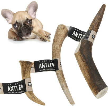 Genuine Natural Long Lasting Red Deer Elk Antlers Dog Chew Toy Treat