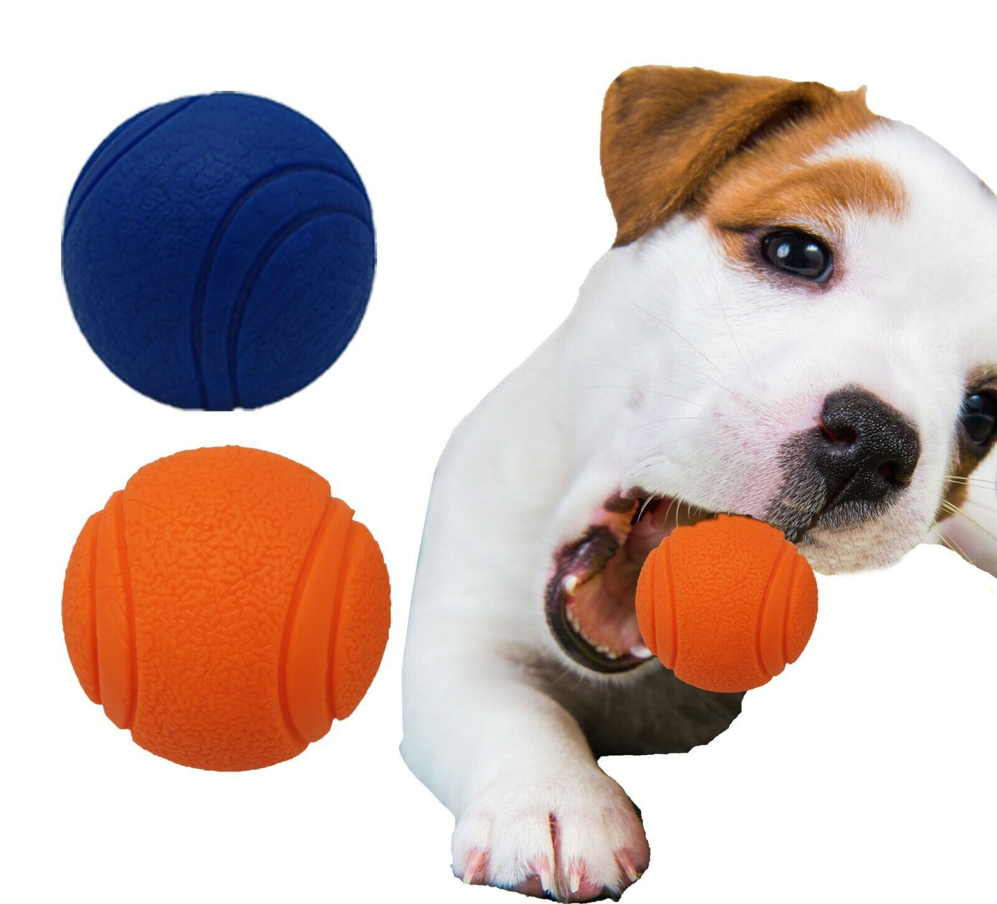 HIGH BOUNCING Indestructible Tough Solid Core Rubber Dog Ball Interactive Toys
