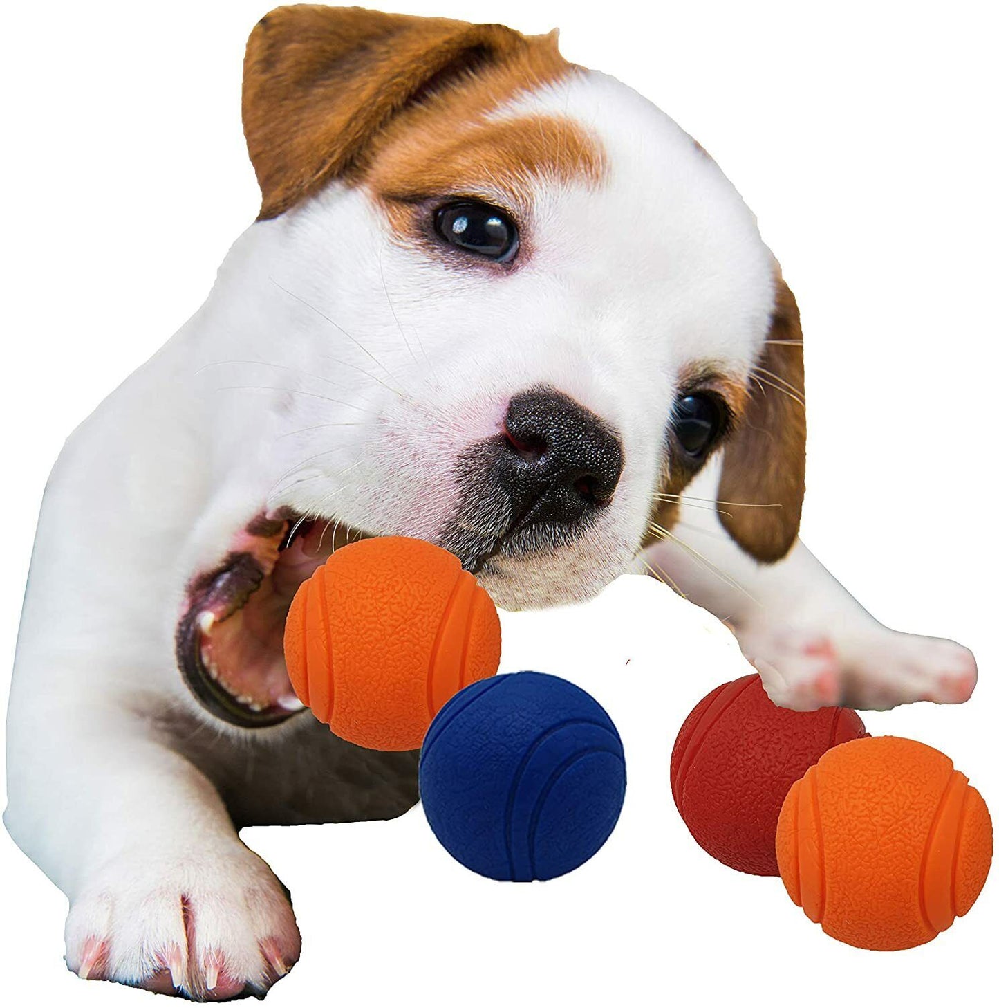HIGH BOUNCING Indestructible Tough Solid Core Rubber Dog Ball Interactive Toys