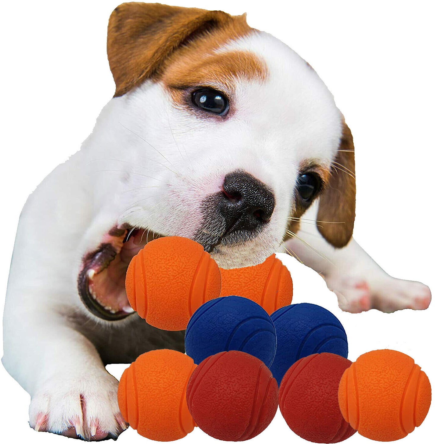 HIGH BOUNCING Indestructible Tough Solid Core Rubber Dog Ball Interactive Toys