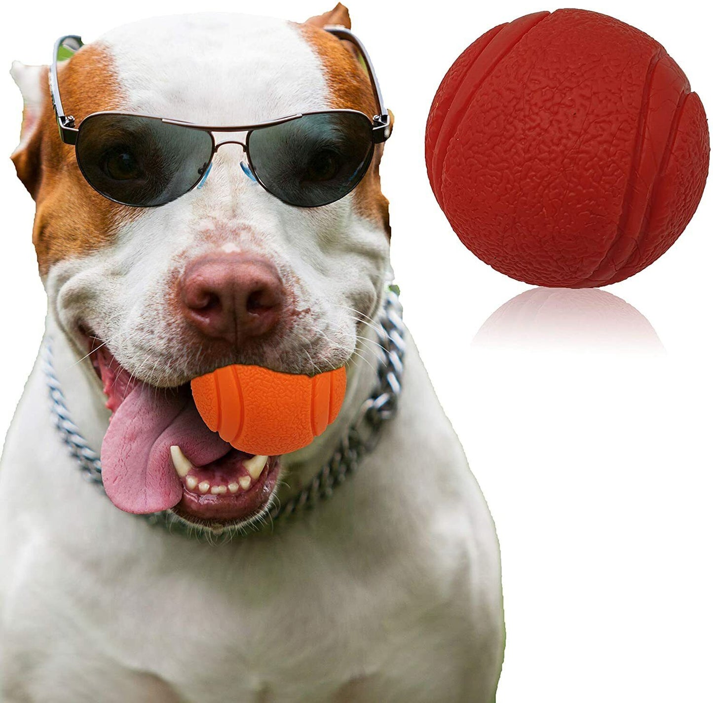 HIGH BOUNCING Indestructible Tough Solid Core Rubber Dog Ball Interactive Toys