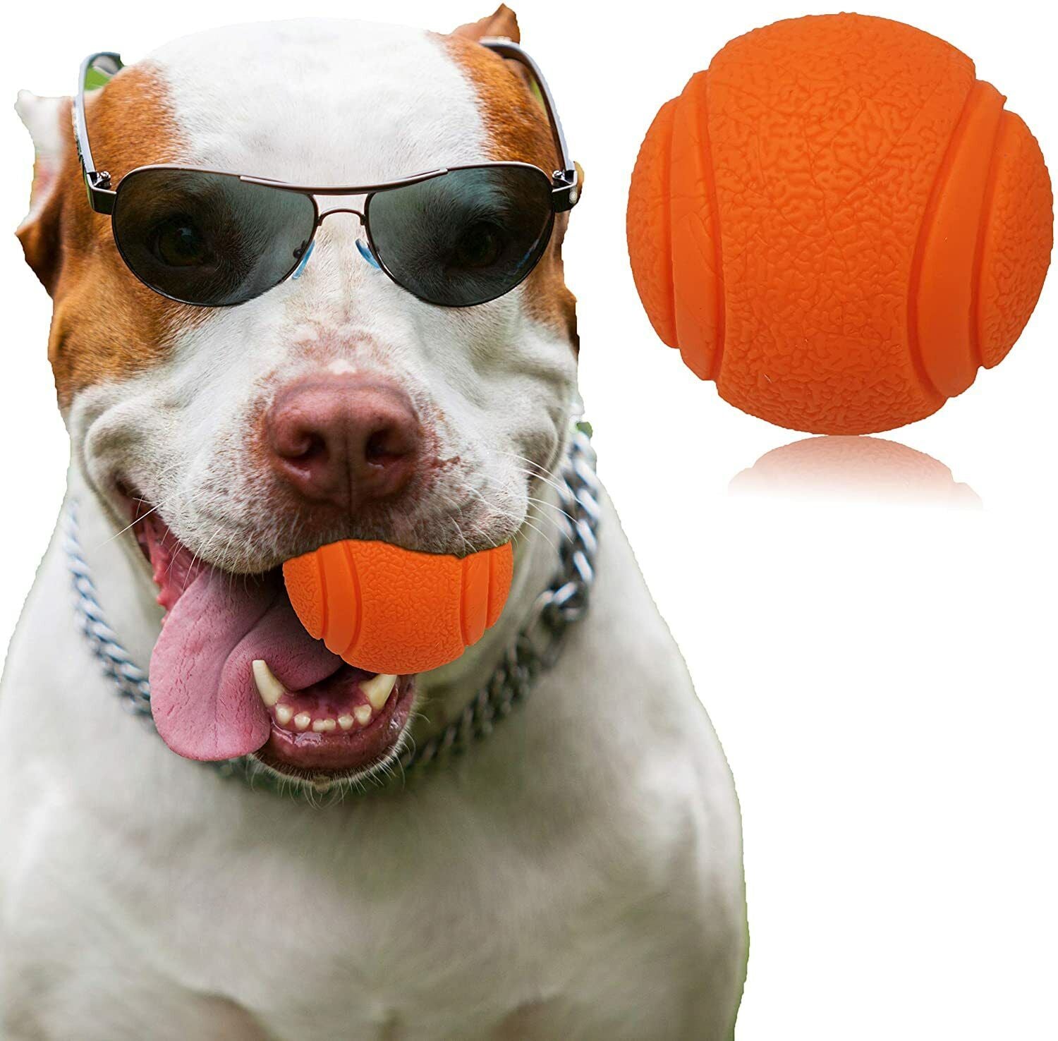 HIGH BOUNCING Indestructible Tough Solid Core Rubber Dog Ball Interactive Toys
