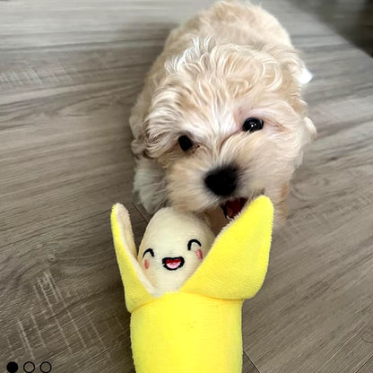 12 Piece Set of Plush Animal Dog Toys, Dog Squeaking Toys, Cute Pet Plush Toys, Filled Puppy Chewy Toys Suitable for Small and M