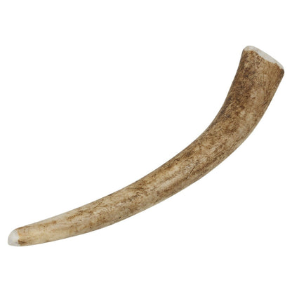 Genuine Natural Long Lasting Red Deer Elk Antlers Dog Chew Toy Treat