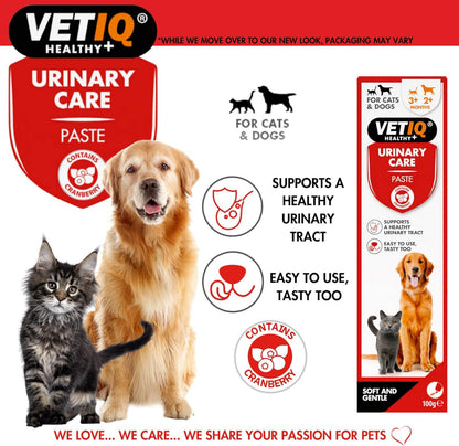 VETIQ Urinary Care Paste 100G Dog and Cat Urinary Supplement